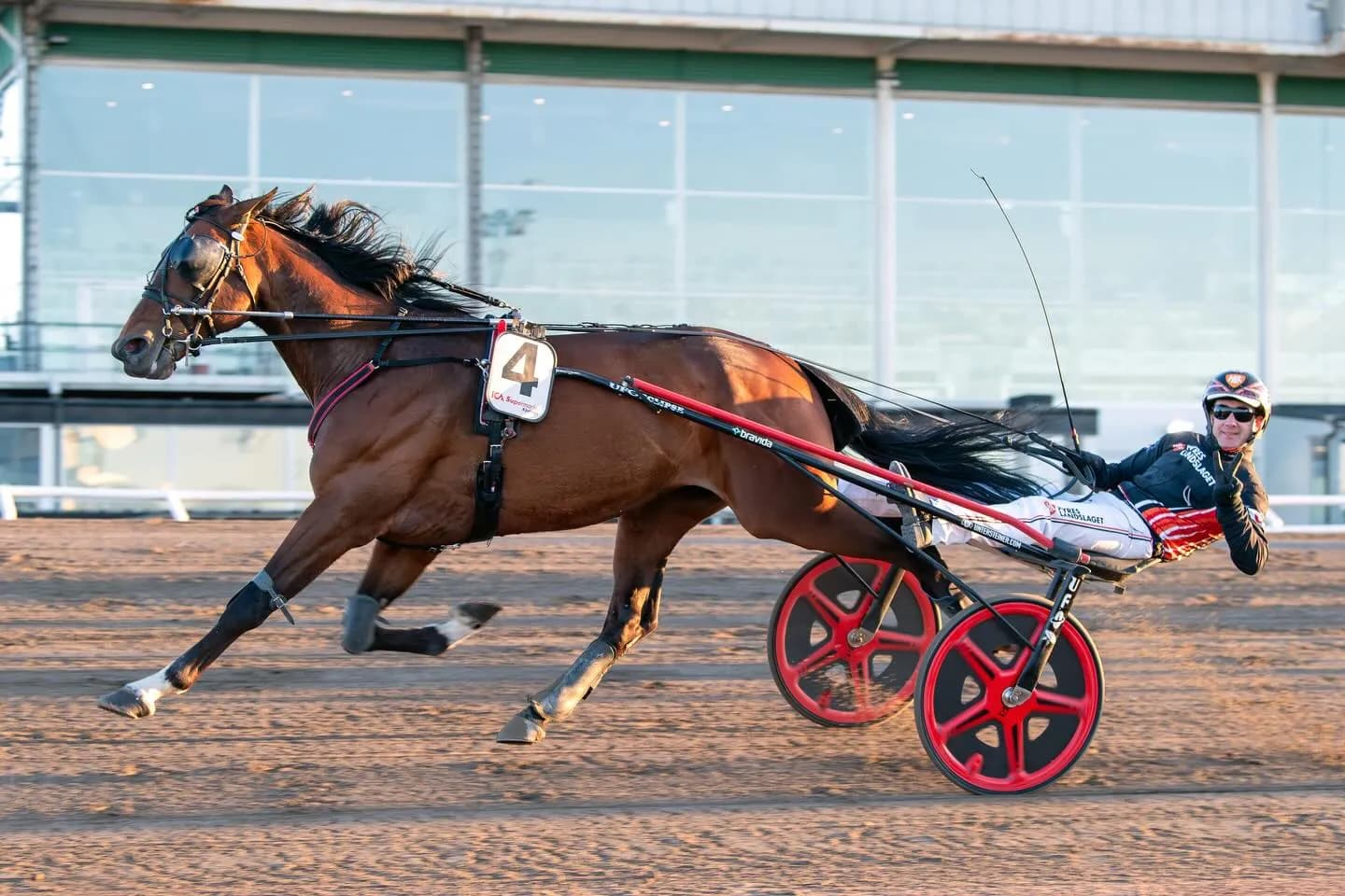 Halmstad Racecourse