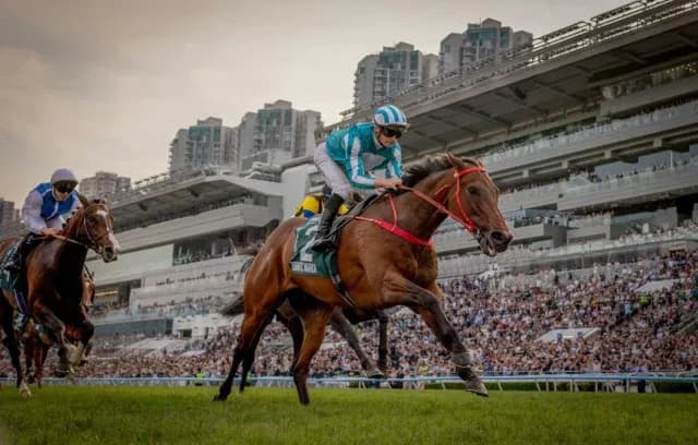 Meydan Racecourse