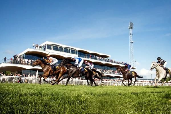 Bro Park Racecourse