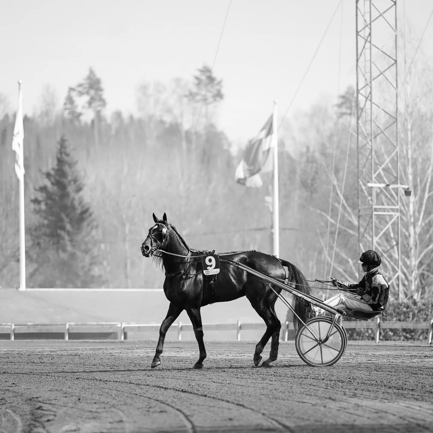 Bergsåker Racecourse