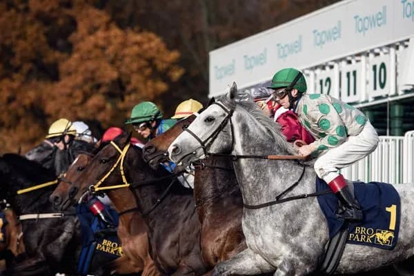 Bro Park Racecourse