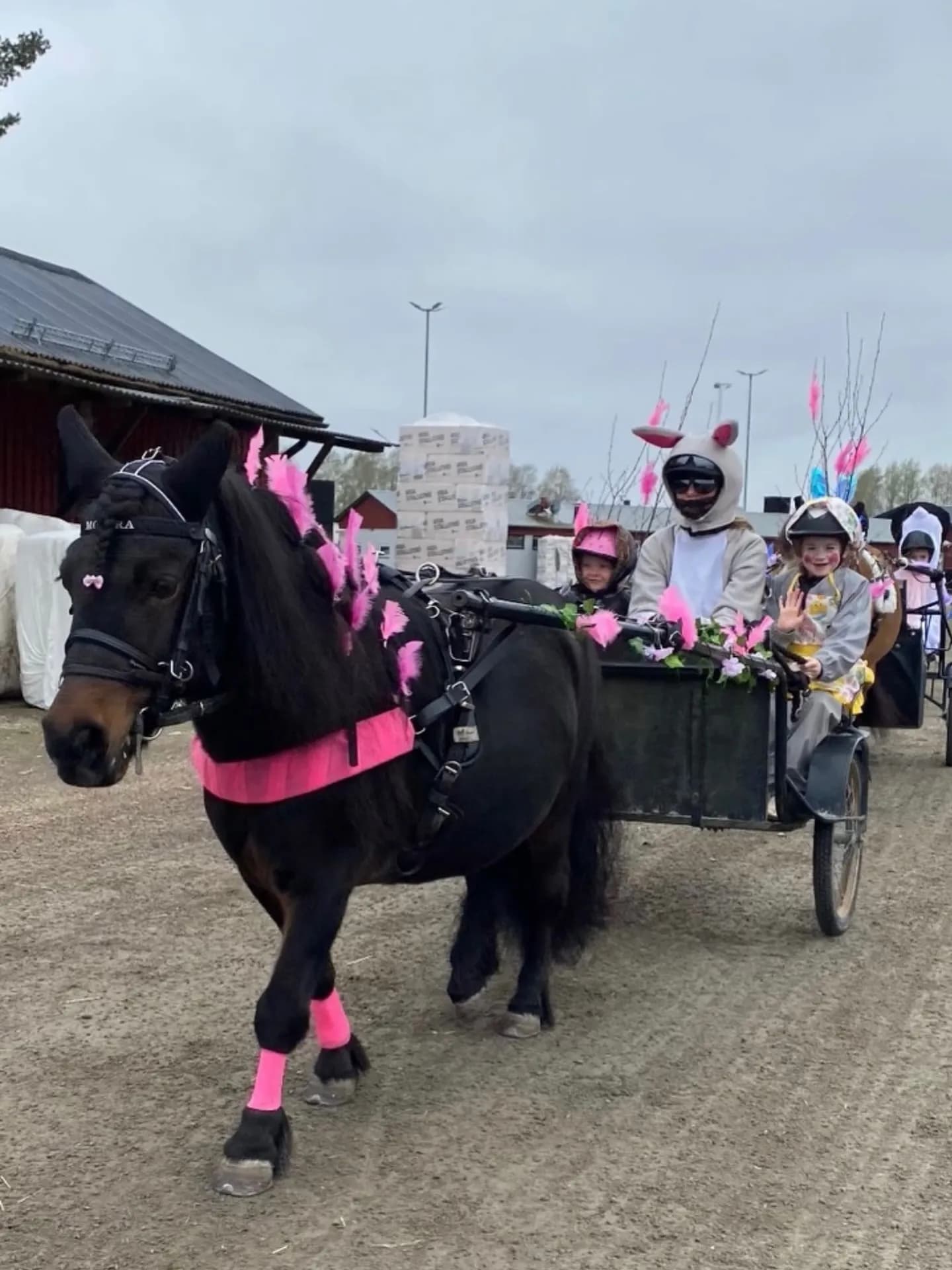 Färjestad Racecourse
