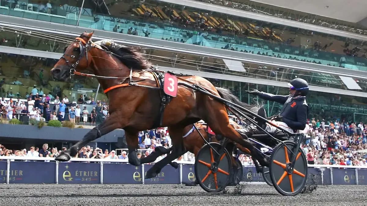 Racecourses in Sweden – Top Horse Racing Tracks & Venues
