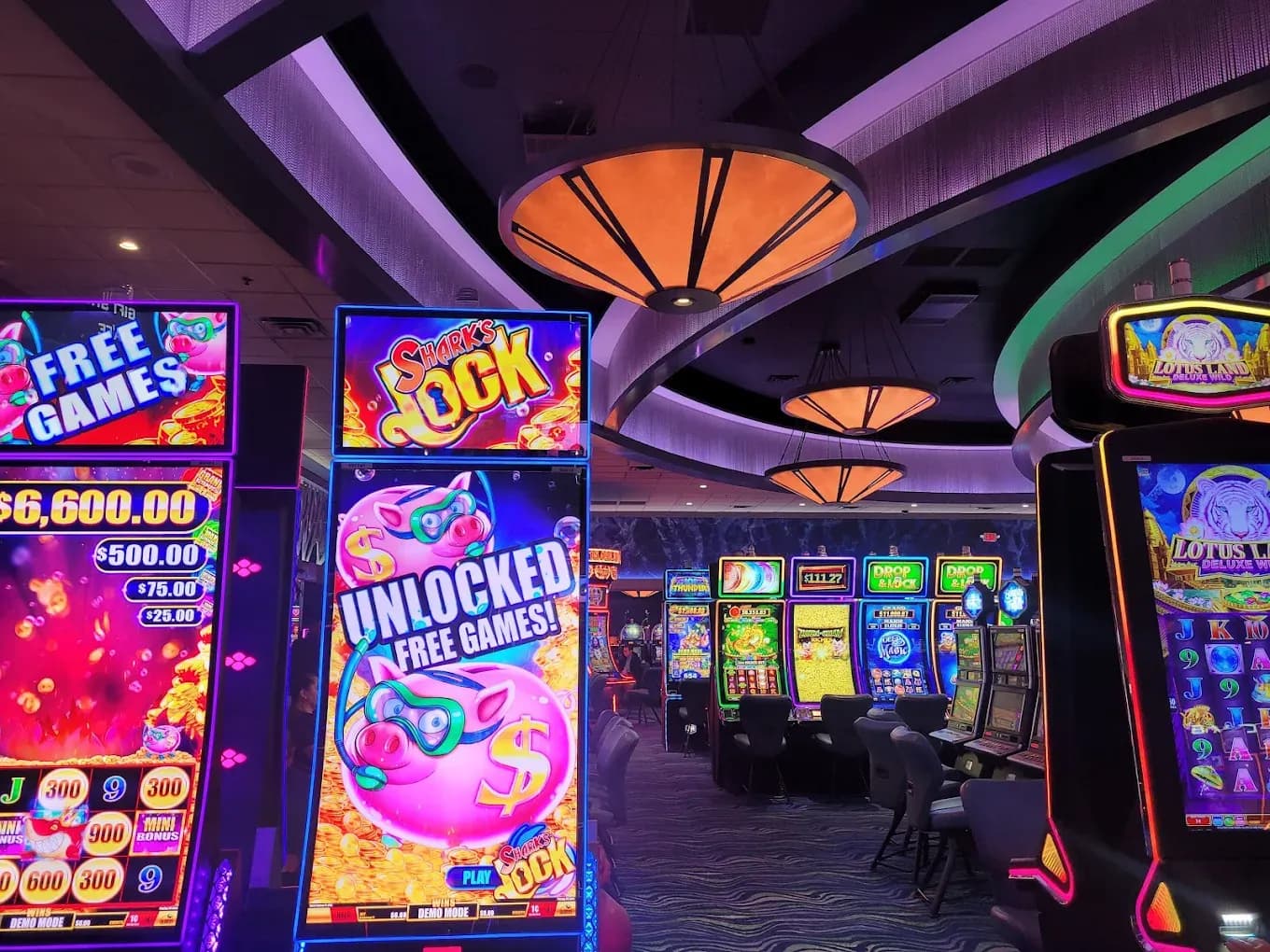 Paradise Casino