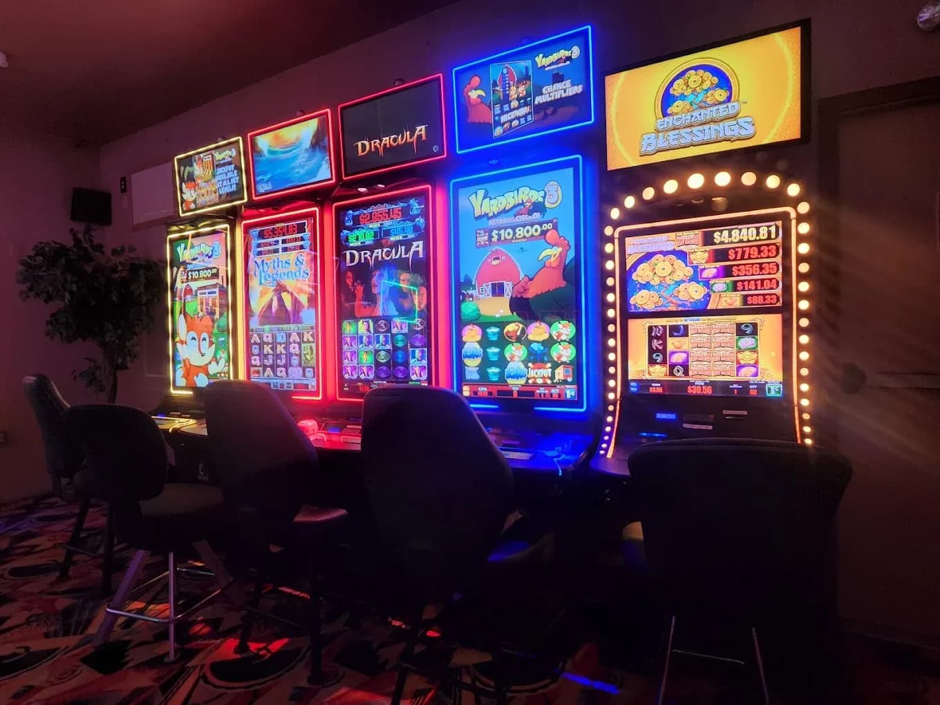 Desert Rose Casino