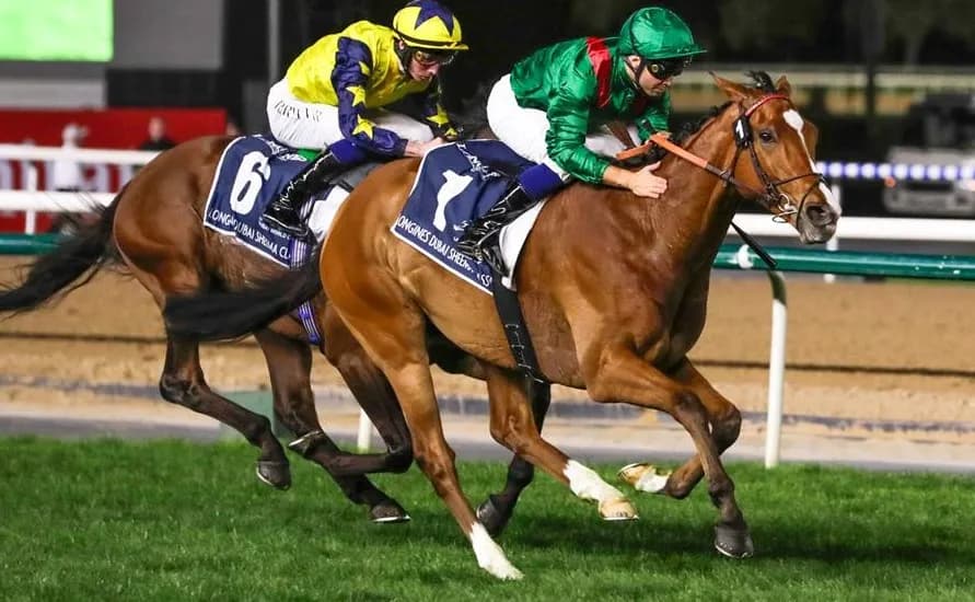 Meydan Racecourse