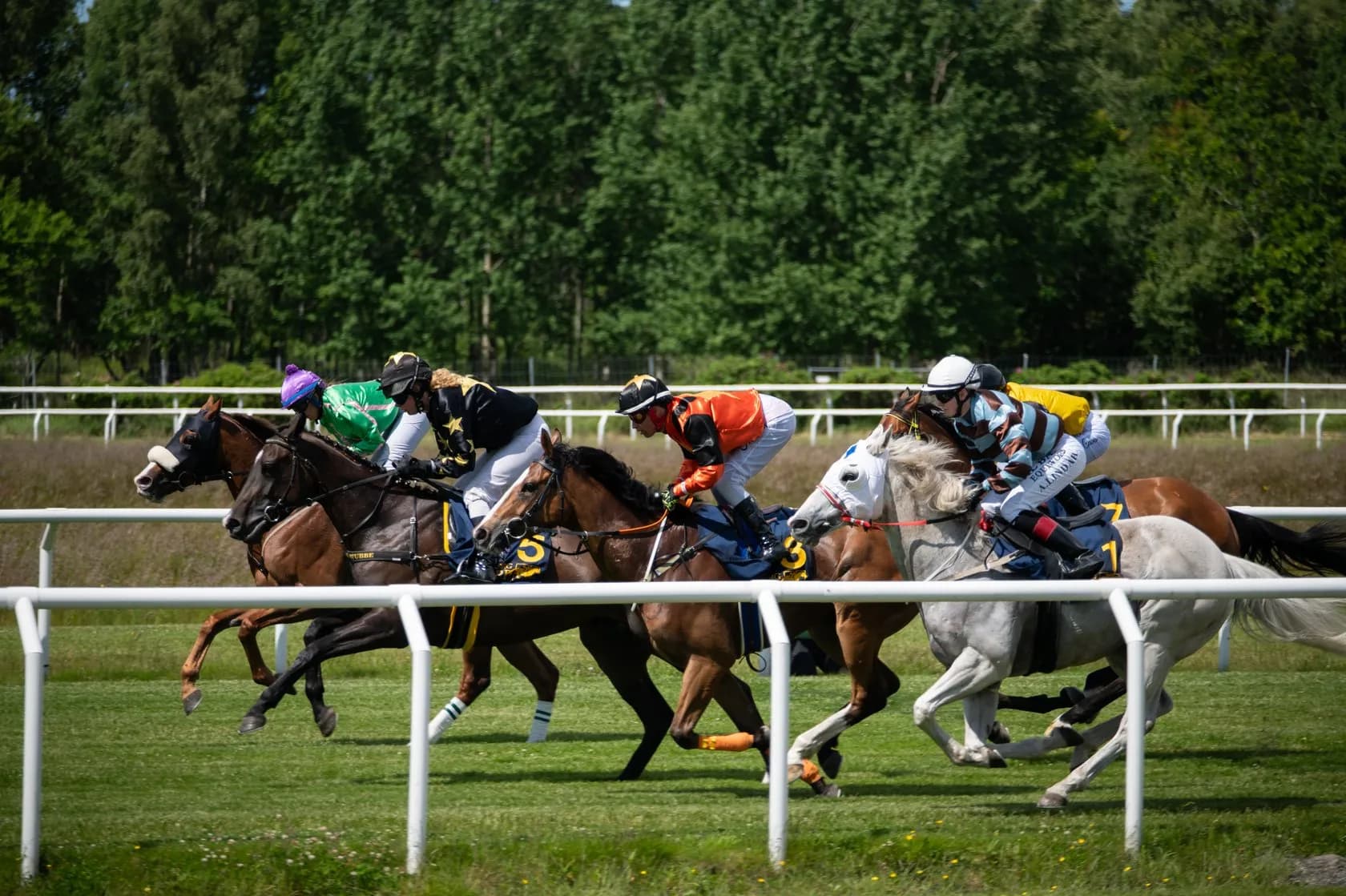 Gothenburg Racecourse