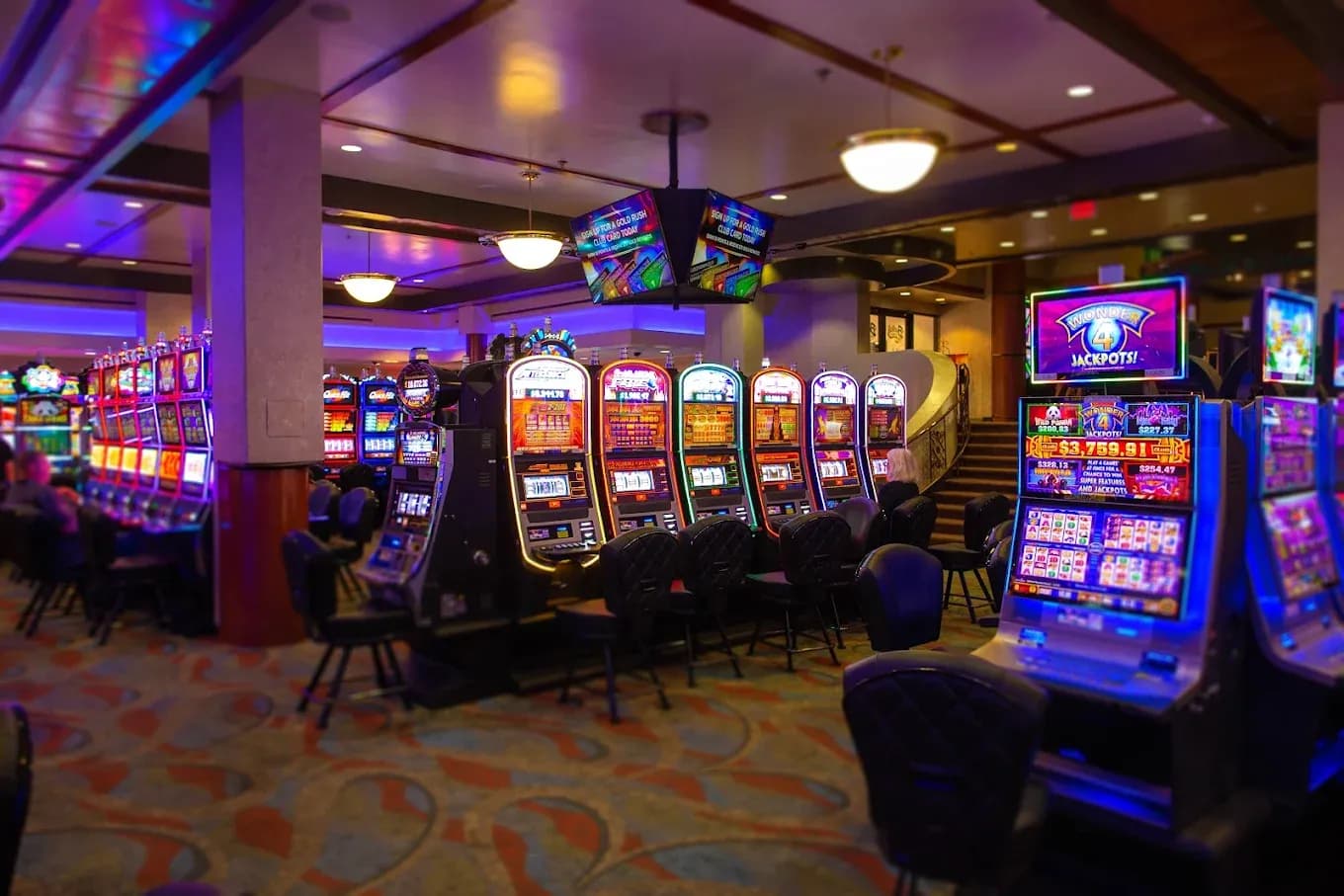 Bucky’s Casino