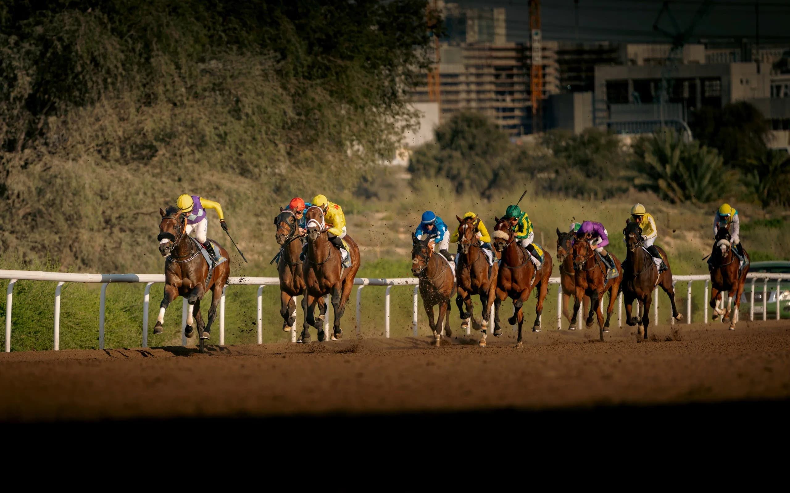 Jebel Ali Racecourse