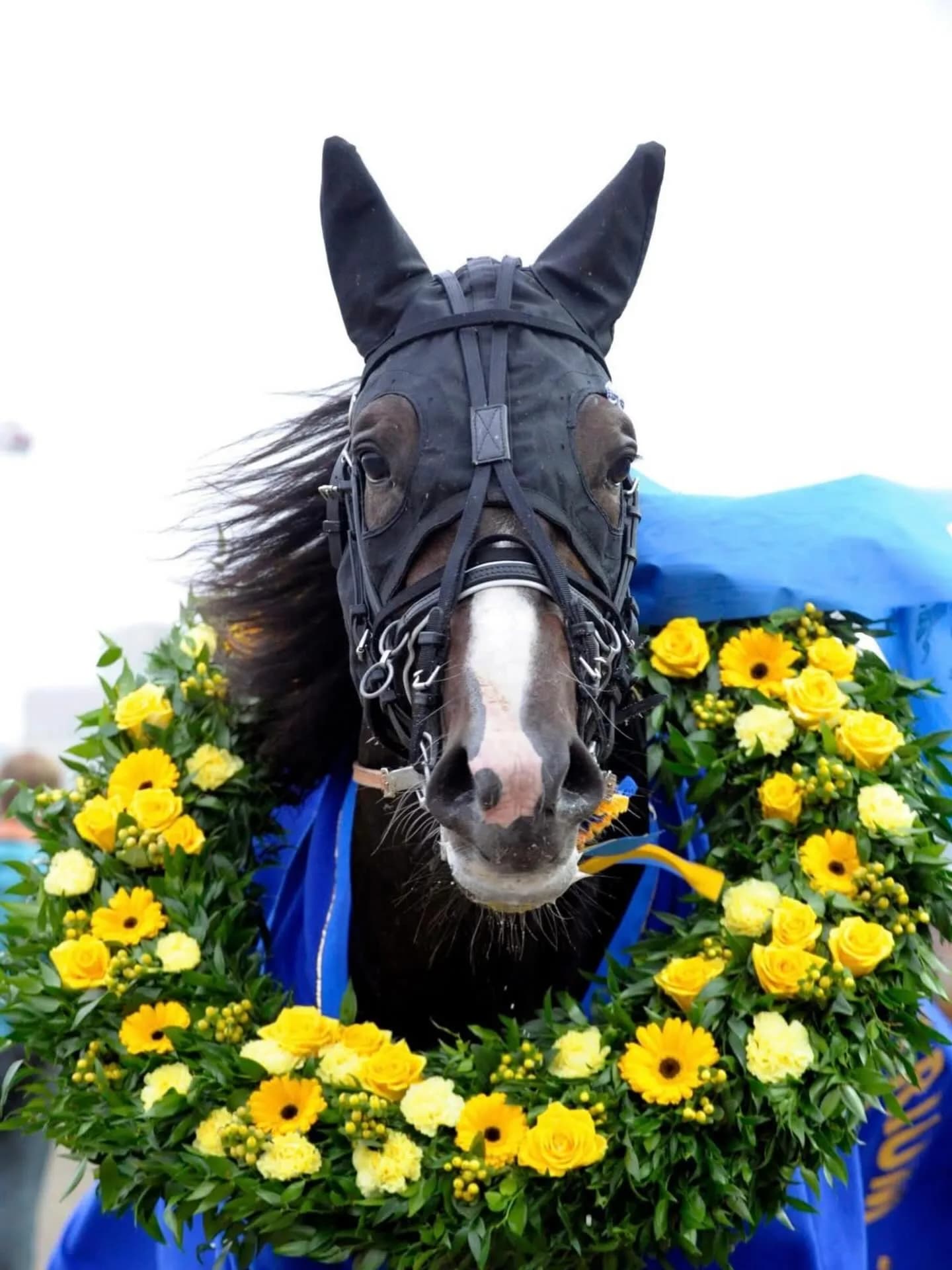 Halmstad Racecourse
