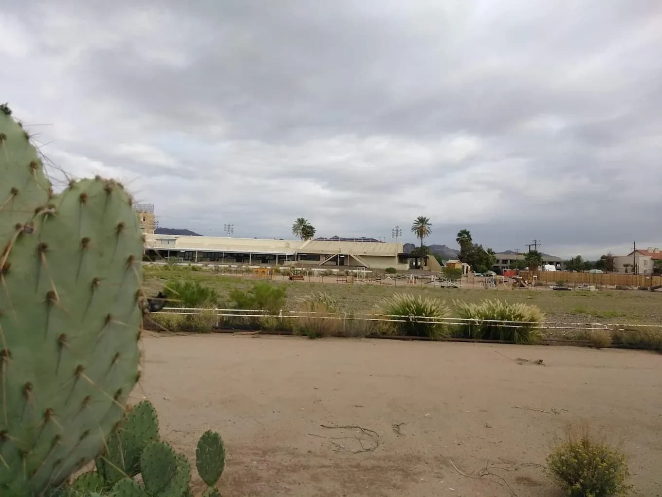 Apache Greyhound Park