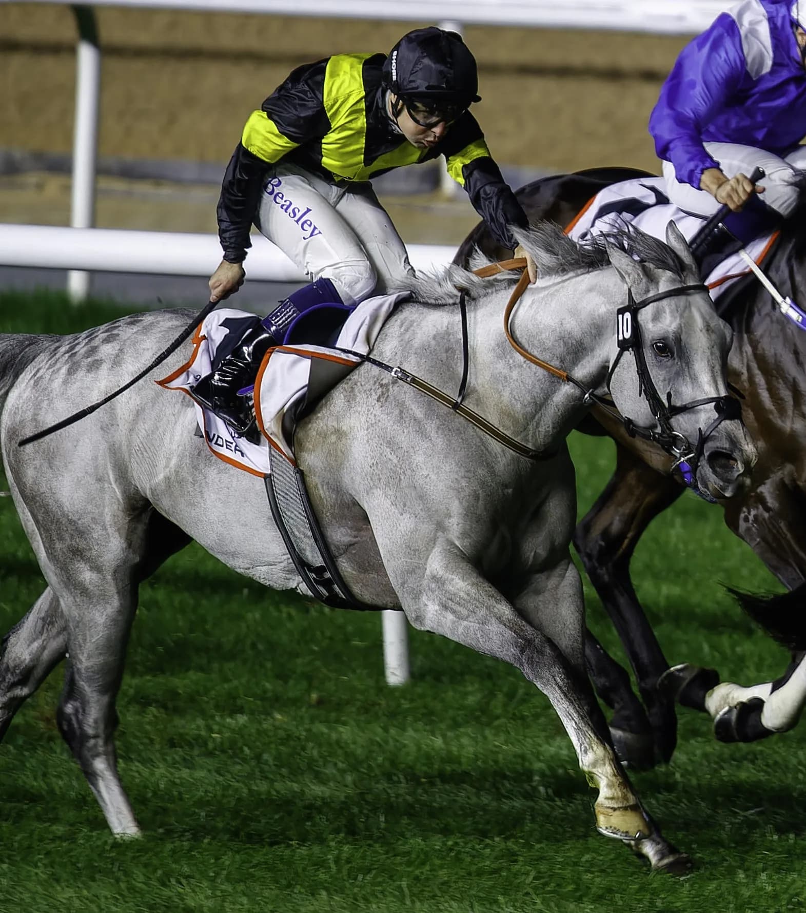 Meydan Racecourse
