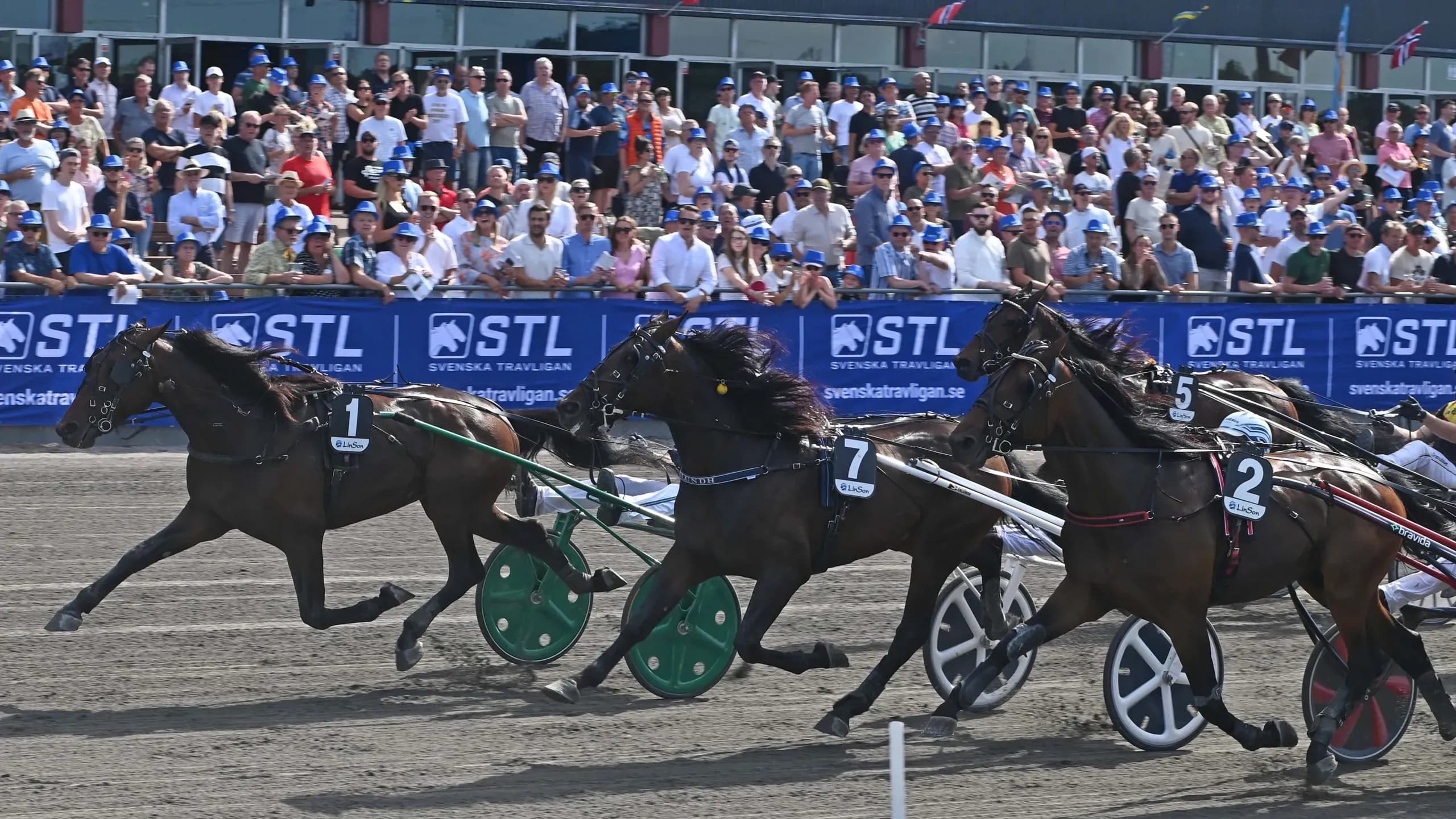 Halmstad Racecourse